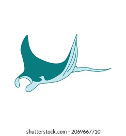 manta flat illustration and image