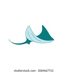 manta flat illustration and image