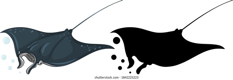 Manta ray characters and its silhouette on white background illustration