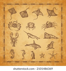 Manta ray, crab lobster and stingray, seahorse and starfish, walrus and narwhal with killer whale, vector sketch. Ancient map with marine fishes and animals, sea and ocean sailing scroll map elements