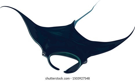Manta Ray diving animal fish isolated vector illustration. Sea sport underwater extreme activity logo sign symbol