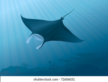 Manta Ray Fish flying underwater above the seabed.