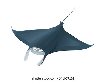 Manta Ray Fish Ocean Isolated On White