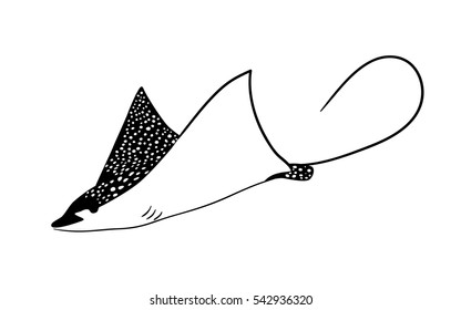 Manta ray fish vector. animal, wildlife design