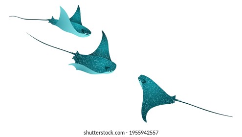 Manta ray fishes, marine animals, sea creatures vector collection. Blue turquoise eagle ray fishes, mobula scube abstract vector. Eagle or devil fish couple, underwater stingray giant ocean animals.