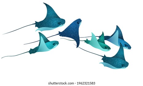Manta ray fishes, marine animals, sea creatures set vector illustration. Blue turquoise eagle ray fishes, manta ray scuba vector. Eagle or devil fish group, underwater stingray giant ocean animals.