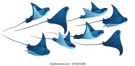 Manta ray fishes, marine animals, sea creatures set vector illustration. Blue turquoise eagle ray fishes, manta ray scuba vector. Eagle or devil fish group, underwater stingray giant ocean animals.