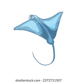 Manta ray on white background