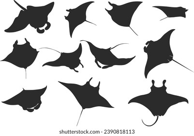 Manta ray silhouette, Manta ray vector, Manta ray clipart, Stingray icon bundle.