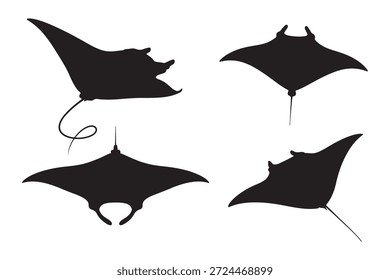Manta Ray silhouette vector  illustration