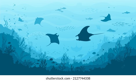 Manta ray and stingray, seaweed and reef underwater landscape. Sea bottom life, deep sea flora and fauna vector background with corals and ocean animals. Seafloor aquatic landscape with manta rays