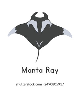 Manta ray vector illustration, cartoon clipart, animal in flat style. Sea animals, underwater creatures, ocean animals, marine life concept. Manta vector design isolated on white background