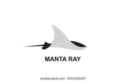 Manta Ray in vector on white background