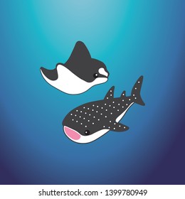 manta ray and whale shark