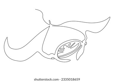 Manta ray.Continuous one line drawing. Vector illustration.