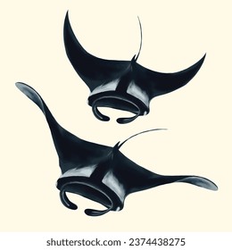 Manta rays in the ocean vector illustration.