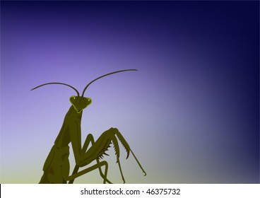 Mantid
