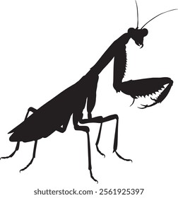 Mantis icon vector silhouette Illustration 2