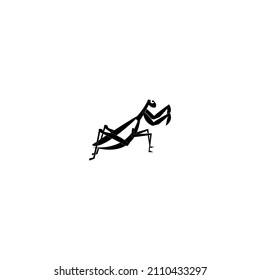 mantis ilustration vektor black and white