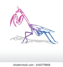 Mantis Insect Illustration Vector Art