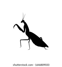 Mantis Insect Silhouette Vector Illustration Mantis Stock Vector ...