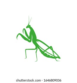 mantis insect silhouette. vector illustration of mantis insect