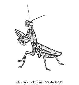 Mantis insect sketch line art engraving vector illustration. Scratch board style imitation. Black and white hand drawn image.