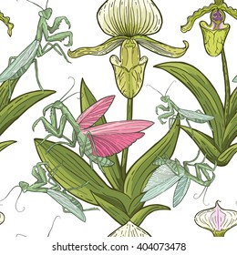 mantis insects orchid flowers pattern