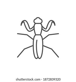 Mantis line outline icon or insect concept