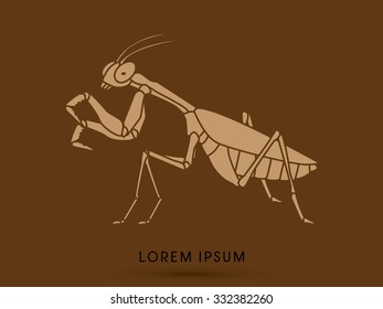 Mantis, Mantodea grasshopper graphic vector