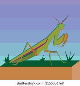 mantis on grass flat vector illustration