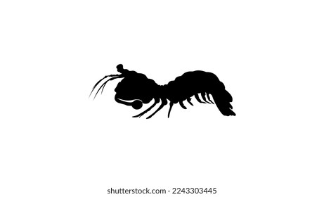 Mantis shrimp silhouette, high quality vector