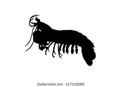 Mantis Shrimp Silhouette Vector Art. Best Mantis Shrimp Icon Illustration. Good element icon design for mobile apps and website about mantis shrimp.