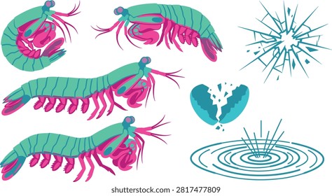 Mantis Shrimp Vector Set with Broken Glass, Cracked Shell, and Water Splash Symbols for Marine Biology, Power Metaphors, and Educational Illustration Designs.eps