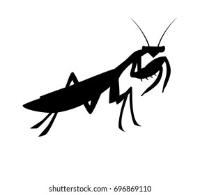 Mantis silhouette design