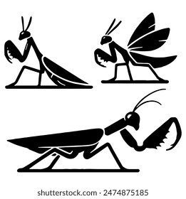 Mantis Silhouette, Ideal for Nature and Insect Themes - Flat Vector Illustration