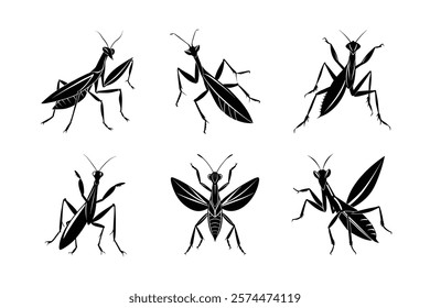 Mantis silhouette vector set with white background