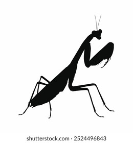 Mantis silhoutte vector white backgound 