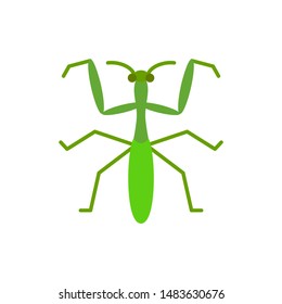 Mantis single flat icon. Insect simple sign in cartoon style. Bug pictogram Wildlife symbol. Entomology closeup color vector illustration isolated on white. Graphic design element for card print, logo