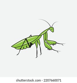 Mantis vector, isolated on a white background. Mantis religiosa stock illustration.