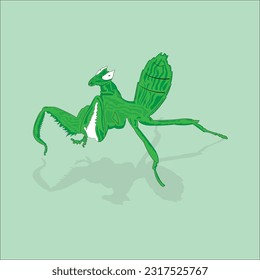 mantis vector | praying mantis | praying mantis icon