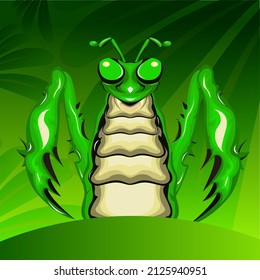 mantis vector for your all digital and printing needs