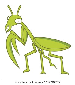 578 Cartoon praying mantis Images, Stock Photos & Vectors | Shutterstock