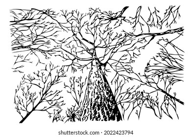 Manual Draw Sketch, dead tree
