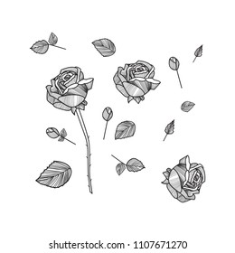 Manual drawing of roses in black and white with branches, leaves and thorns. Hand-drawn roses. Vector illustration of a rose. Vector