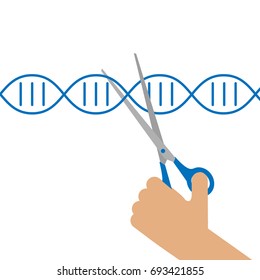 Manual genetic engineering concept. Stock vector illustration of a human hand cutting DNA double helix with scissors.