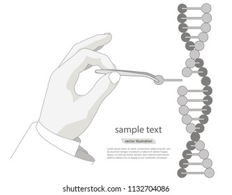 Manual genetic engineering. Manipulation of DNA double helix with with bare hands, tweezers. vector on a white background.