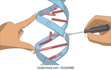 Manual genetic engineering. Manipulation of DNA with bare hands and an ordinary screwdriver. Vector on a white background.