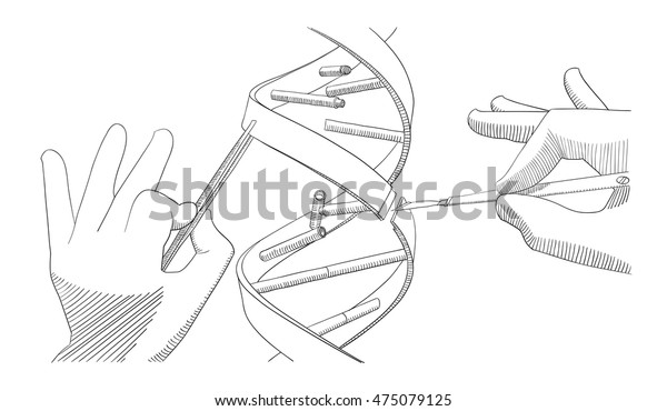 shutterstock