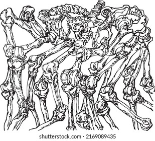 Manually drawn illustration, depicting several skeletons intertwined